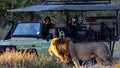 Game Drive- Linyanti day trip