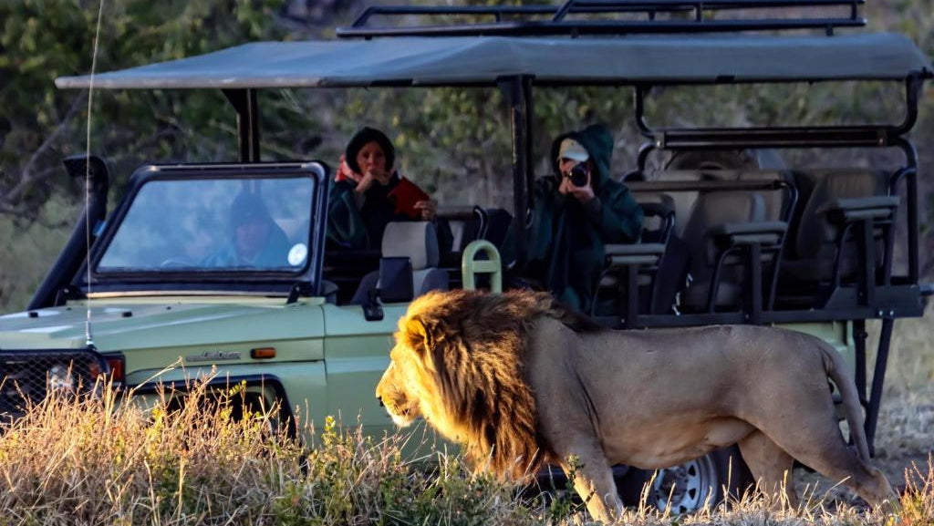 Game Drive- Chobe Riverfront day trip